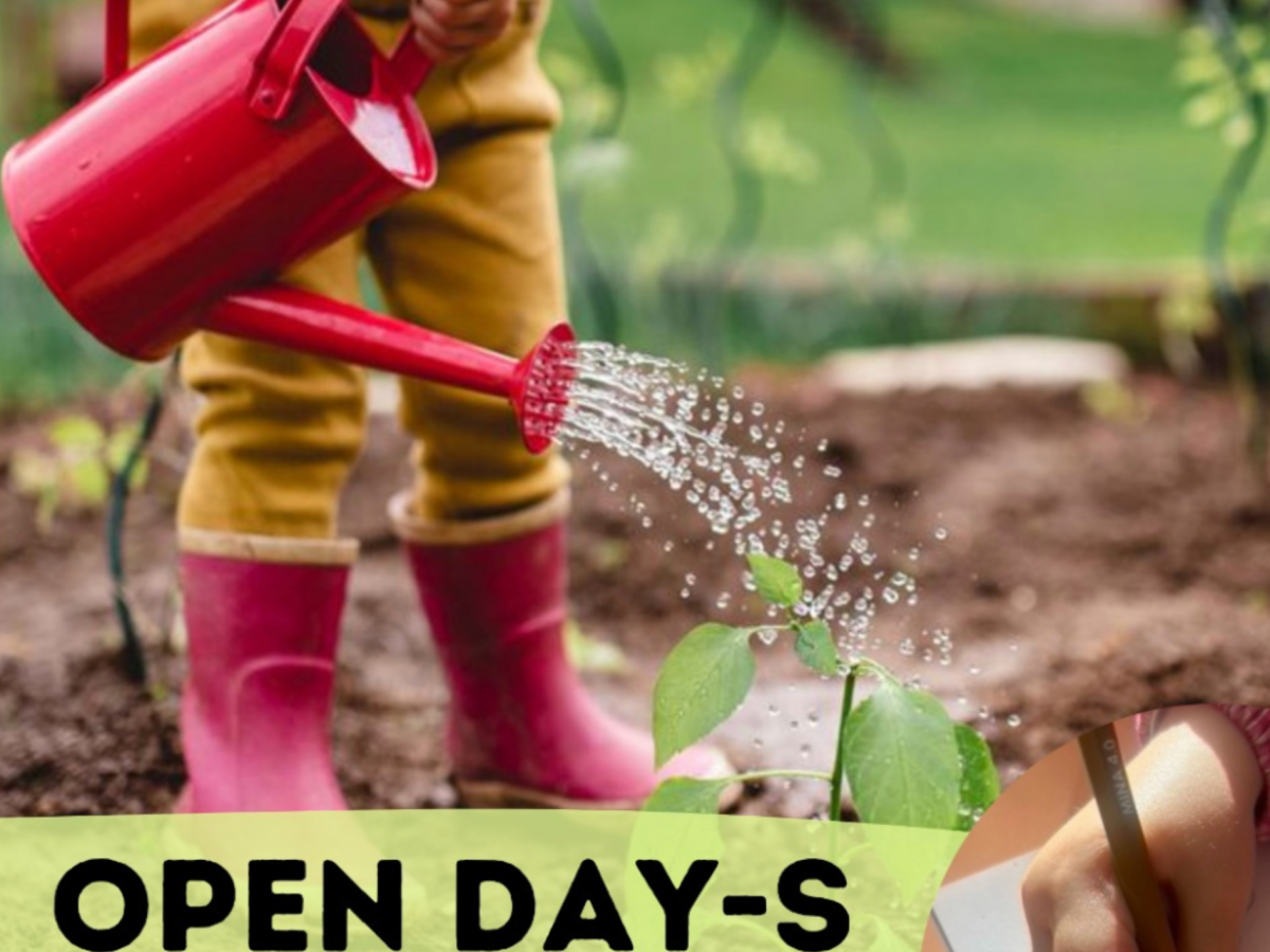 Vieni a scoprire la nostra&nbsp;scuola!